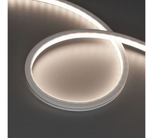 Лента светодиодная Arlight 045321 THOR