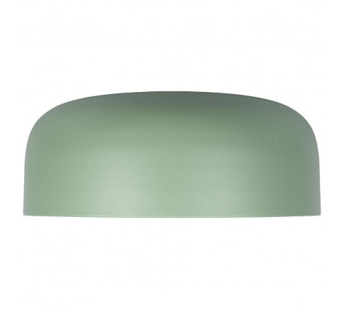 Накладной светильник Loft it 10201/480 Green Axel