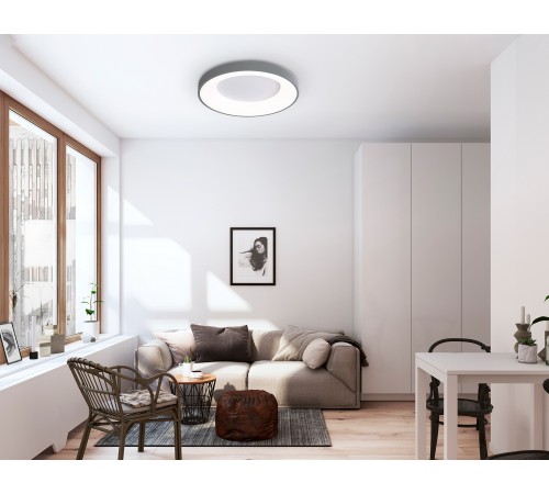 Накладной светильник Ambrella Light FZ1402 FZ