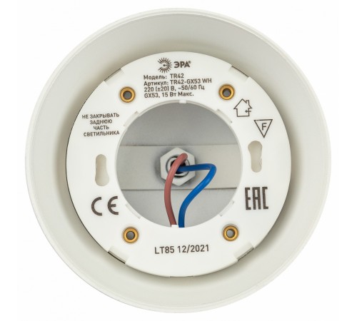 Светильник на штанге Эра TR42-GX53 WH