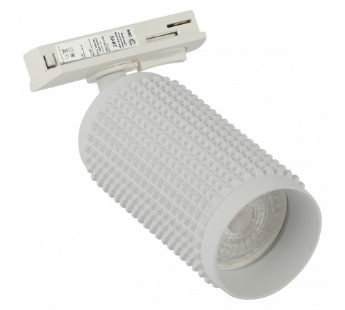 Светильник на штанге Эра TR40-GU10 WH