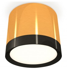 Накладной светильник Ambrella Light XS8121001 XS