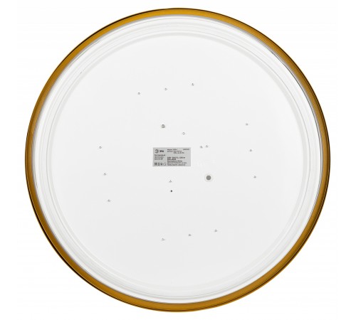 Накладной светильник Эра Relict 48 Pult SPB-6-60-RC MG Relict