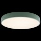 Накладной светильник Loft it 10002/24 Green Axel 1