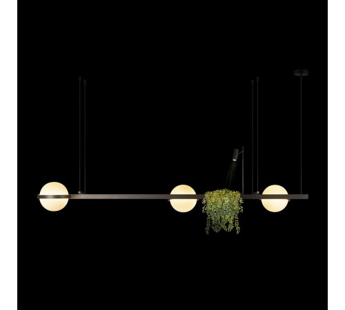 Подвесной светильник Loft it 10121/C Dark grey Jardin