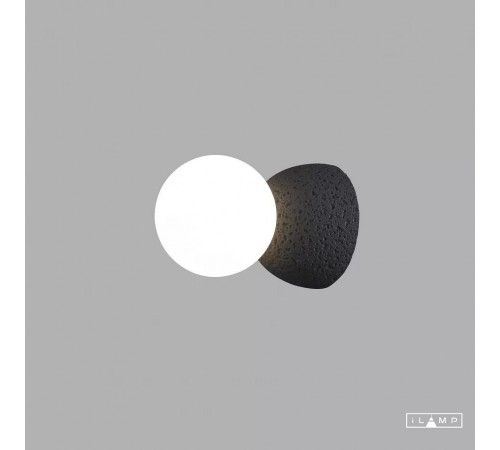 Накладной светильник iLamp 10695W/1-D100 BK-WH Foxtrot