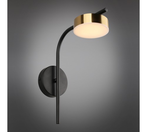 Бра Aployt APL.042.01.07 Delayn