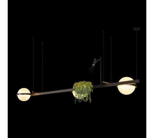 Подвесной светильник Loft it 10121/C Dark grey Jardin