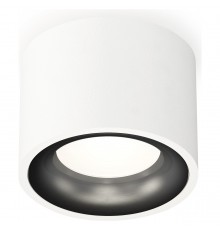 Накладной светильник Ambrella Light XS7510021 XS