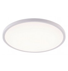 Накладной светильник Natali Kovaltseva LED LAMPS 81113/4C PLAIN
