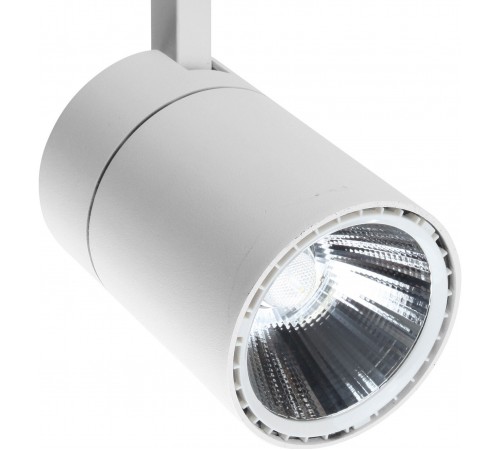 Светильник на штанге Escada 20032TRA/01LED SWH 20032