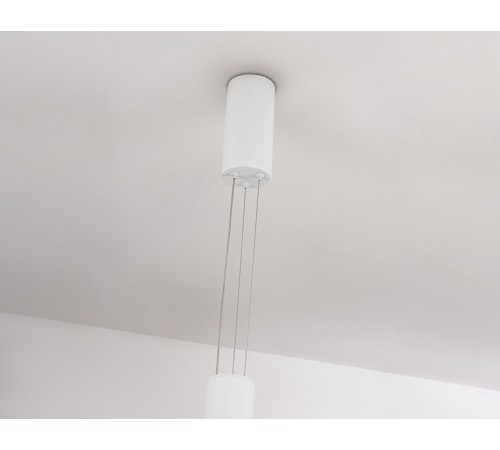 Подвесной светильник Ambrella Light FL5844 FL