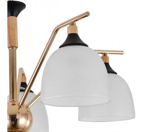 Подвесная люстра Escada 2123/5P Actinidia