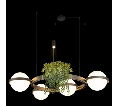 Подвесная люстра Loft it 10121/4 Dark grey Jardin