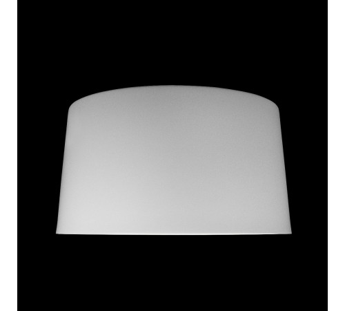 Накладной светильник Loft it 10360L White Duo