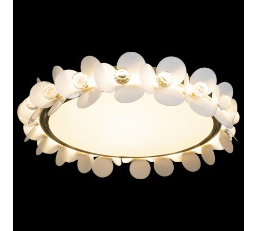 Накладной светильник Loft it 10175 Bride