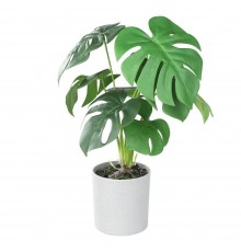 Растение в горшке (300x420) Tobetsu 428017