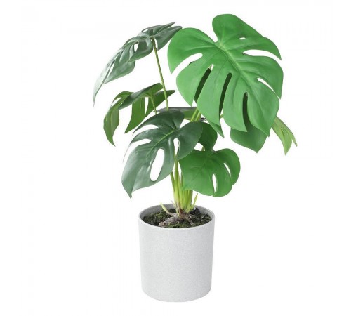 Растение в горшке (300x420) Tobetsu 428017