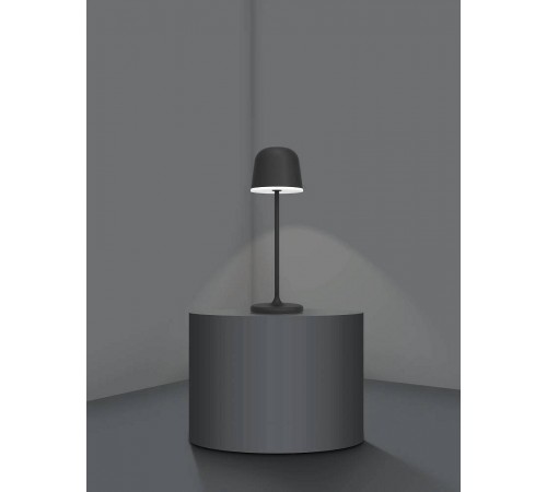 Настольная лампа декоративная Eglo 900457 Mannera