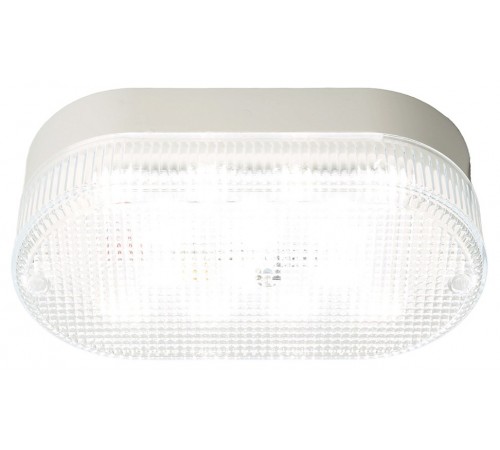 Накладной светильник Feron 51511 TR ЖКХ