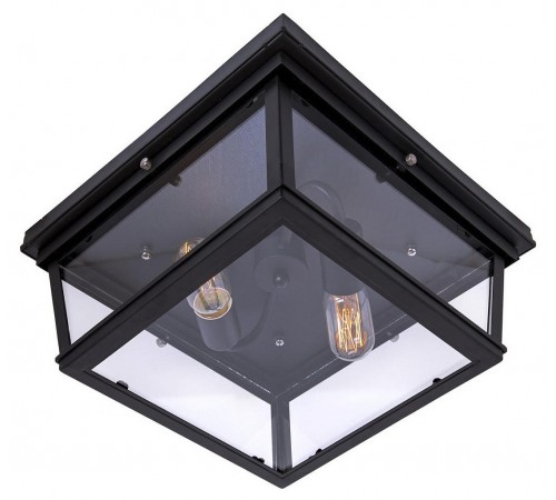 Накладной светильник Loft it LOFT3110-2C Modern Filament