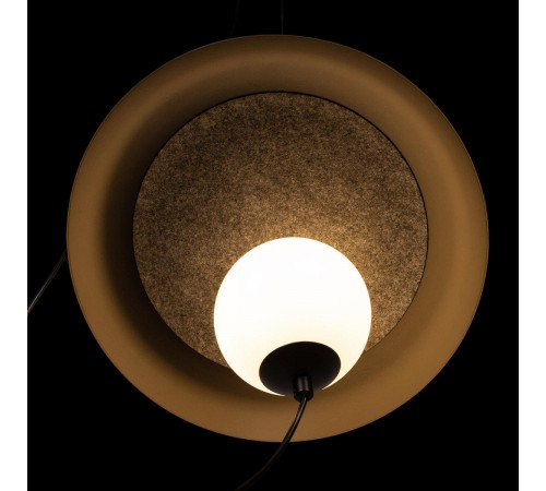 Подвесной светильник Loft it 10237P Black Wonders