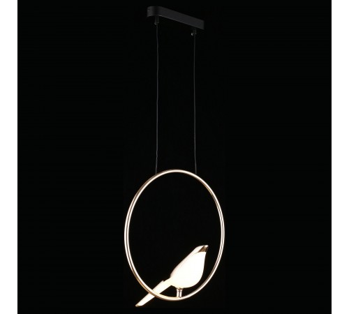 Подвесной светильник Aployt APL.822.06.10 Astor