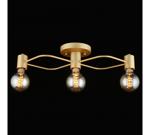 Потолочная люстра Aployt APL.911.07.03 Elison