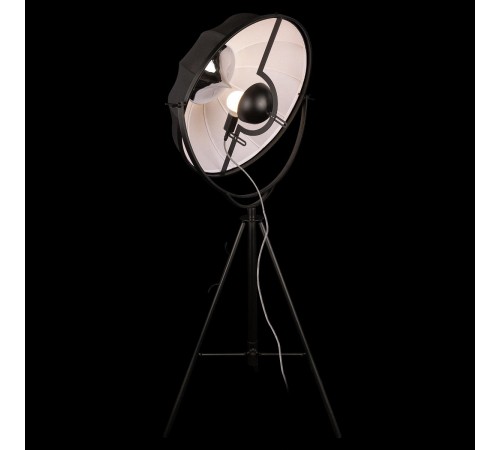 Торшер Loft it 10301/M Studio