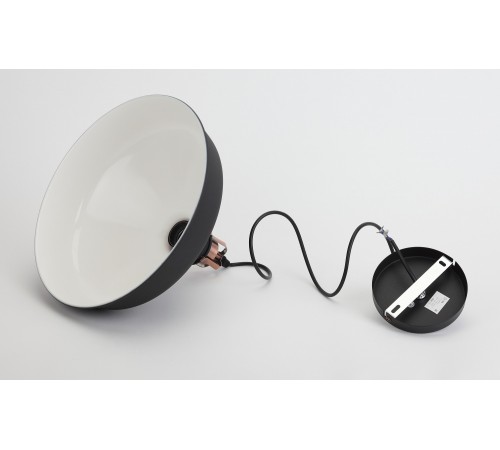 Подвесной светильник Эра PL2 BK/RC PL2