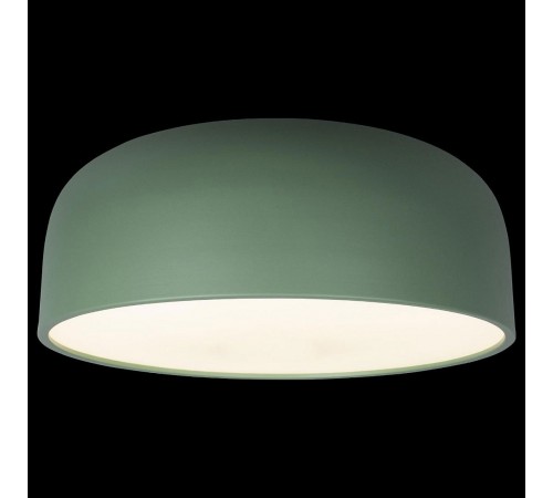 Накладной светильник Loft it 10201/480 Green Axel