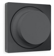 Накладка для диммера Ambrella Volt AP9055 Quant