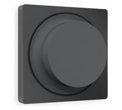 Накладка для диммера Ambrella Volt AP9055 Quant