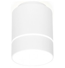 Накладной светильник Ambrella Light TN256 TN