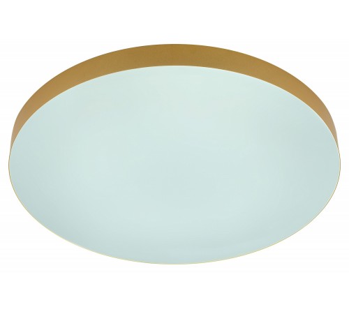 Накладной светильник Эра Relict 48 Pult SPB-6-60-RC MG Relict