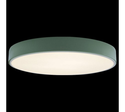 Накладной светильник Loft it 10002/24 Green Axel 1