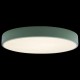 Накладной светильник Loft it 10002/24 Green Axel 1