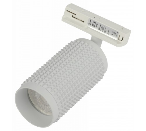 Светильник на штанге Эра TR40-GU10 WH