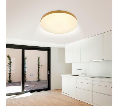 Накладной светильник Эра Relict 48 Pult SPB-6-60-RC MG Relict