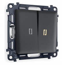 Выключатель двухклавишный с подсветкой без рамки Ambrella Volt MA904010 Quant