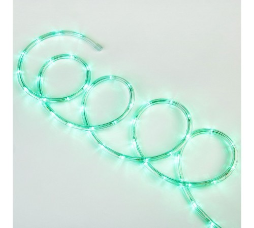 Шнур световой Uniel UL-00008570