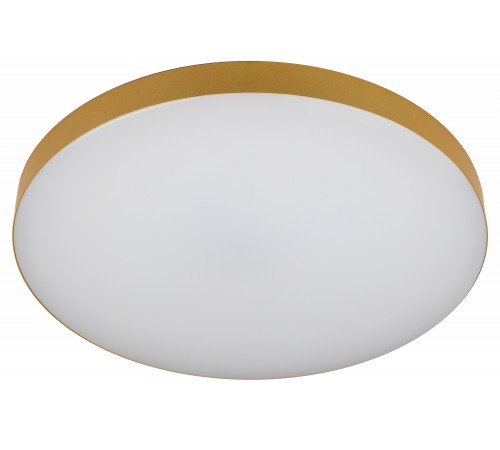 Накладной светильник Эра Relict 48 Pult SPB-6-60-RC MG Relict