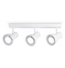 Спот Ambrella Light TA13119 TA