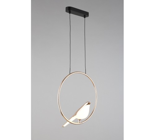 Подвесной светильник Aployt APL.822.06.10 Astor