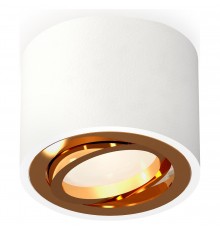 Накладной светильник Ambrella Light XS7510004 XS