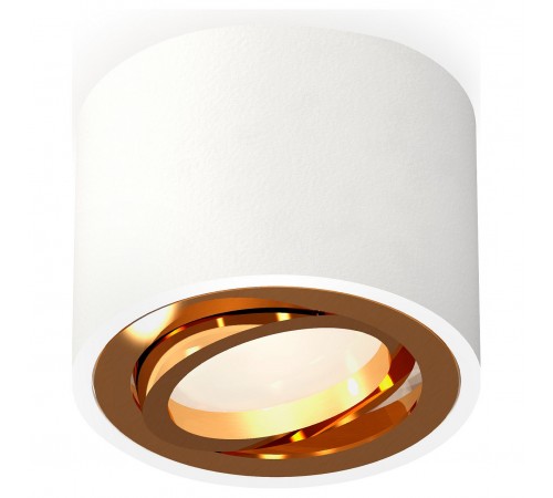 Накладной светильник Ambrella Light XS7510004 XS