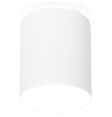 Накладной светильник Ambrella Light TN260 TN