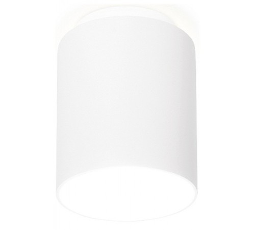 Накладной светильник Ambrella Light TN260 TN