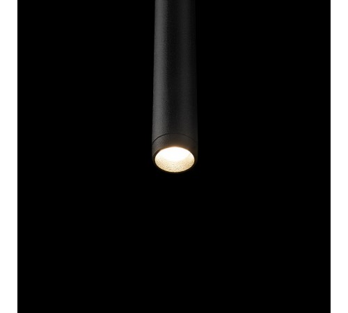 Встраиваемый светильник на штанге Loft it 10359/600 Black Cane