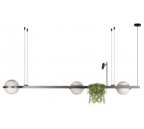 Подвесной светильник Loft it 10121/C Dark grey Jardin